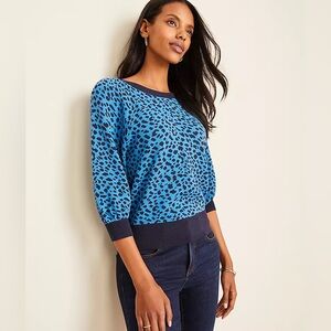 Ann Taylor Leopard Print Raglan Sleeve Sweater XS